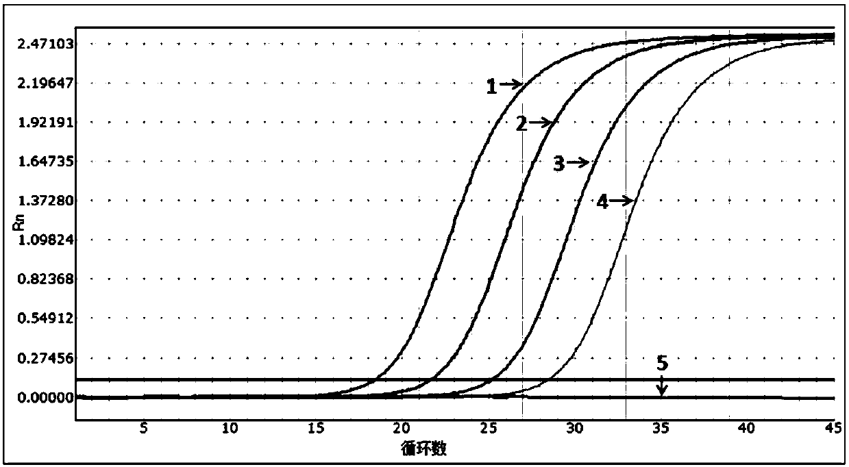 Human immunodeficiency virus, hepatitis B virus, hepatitis C virus rapid joint detection kit and its preparation and application