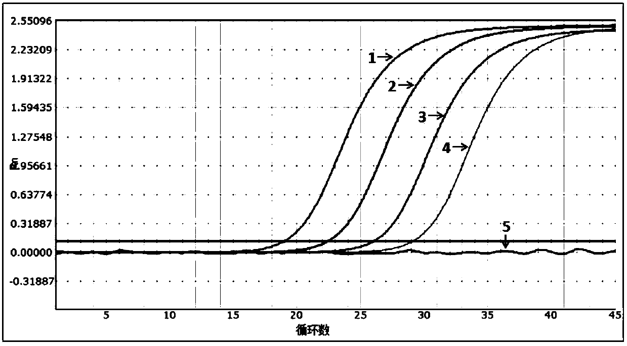 Human immunodeficiency virus, hepatitis B virus, hepatitis C virus rapid joint detection kit and its preparation and application