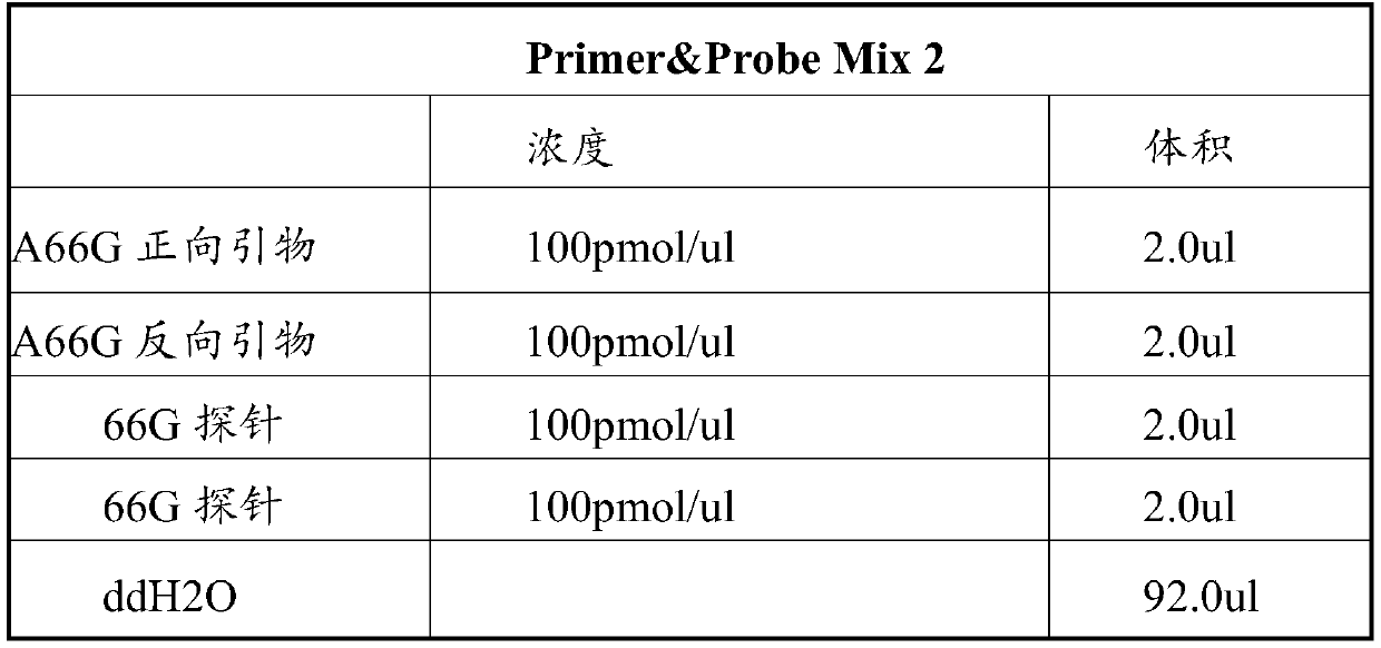 Kit for detecting MTRR gene A66G rs1801394SNP site