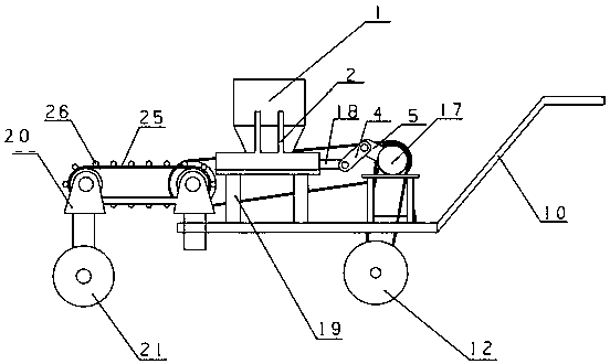 Pine needle laying device special for radix notoginseng