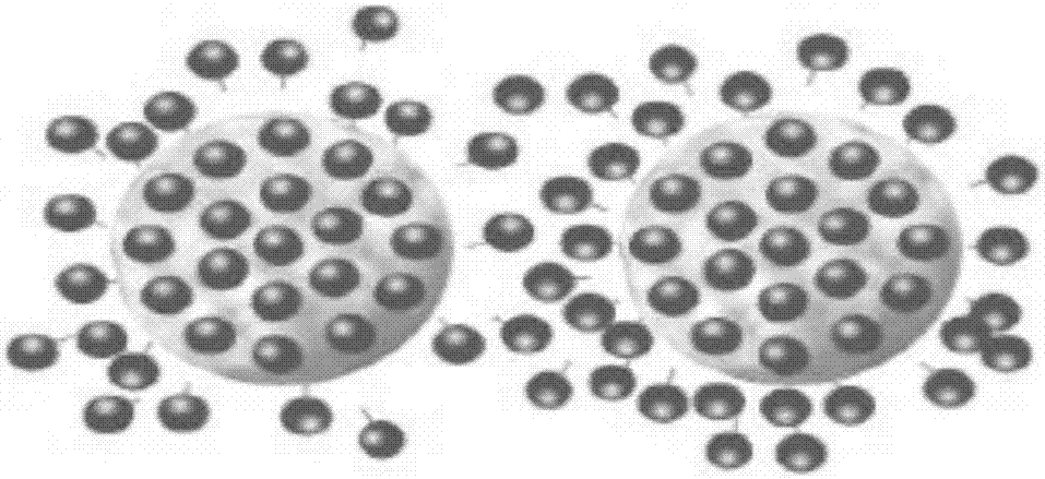 Double-layer cleansing milk and preparation method thereof