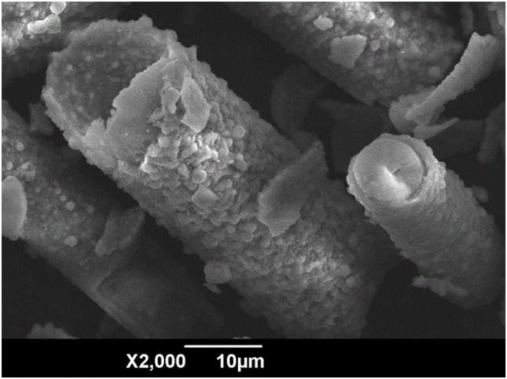 Preparation method and application of basalt fiber-TiO2 composite material