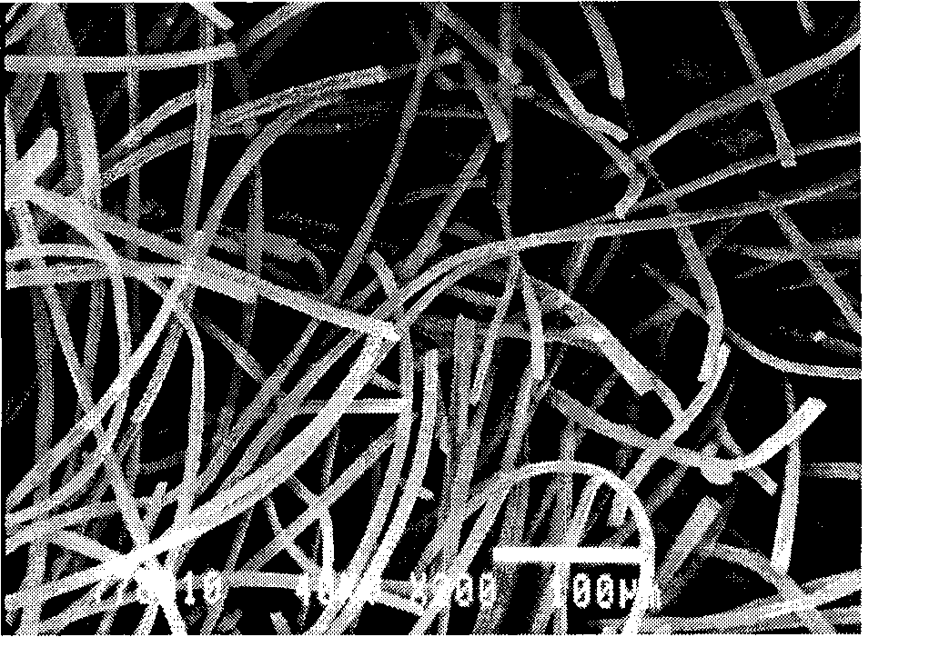 Aerobic biomineralization method of bromamine acid