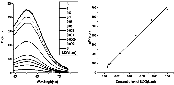 Nonenzymatic biosensor for detecting activity of uracil-DNA glycosylase