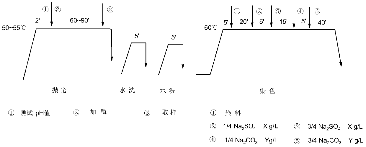 Application of a thermophilic Chaetomium cellulase in one-bath polishing and dyeing process