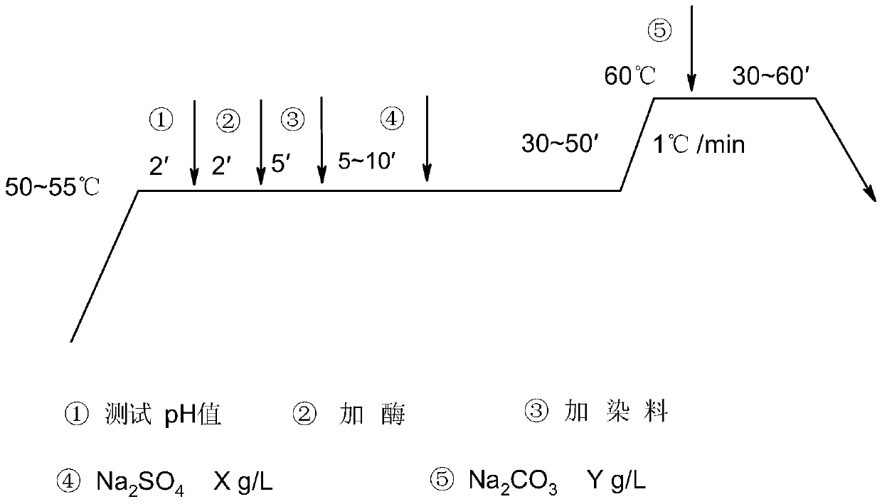 Application of a thermophilic Chaetomium cellulase in one-bath polishing and dyeing process