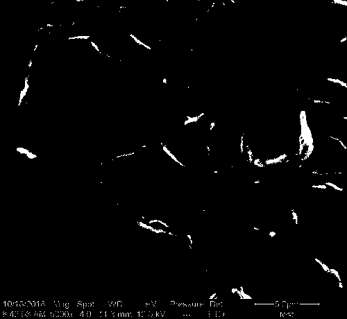 Preparation method of biopolymer electrolyte with water as solvent