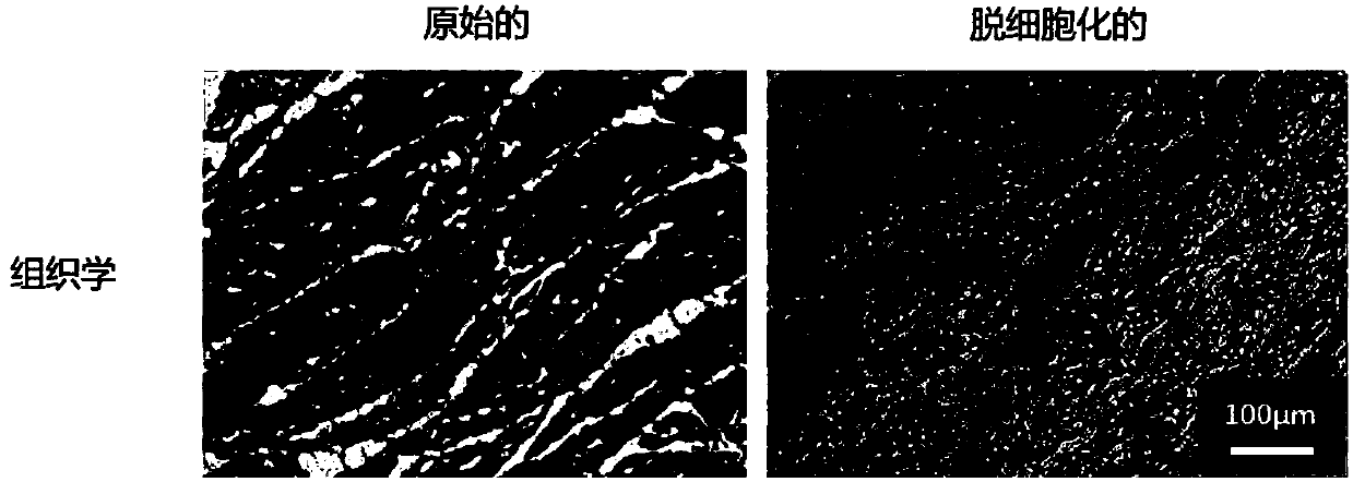 Composition for three-dimensional printing, method for preparing same, and method for manufacturing three-dimensional structure using same