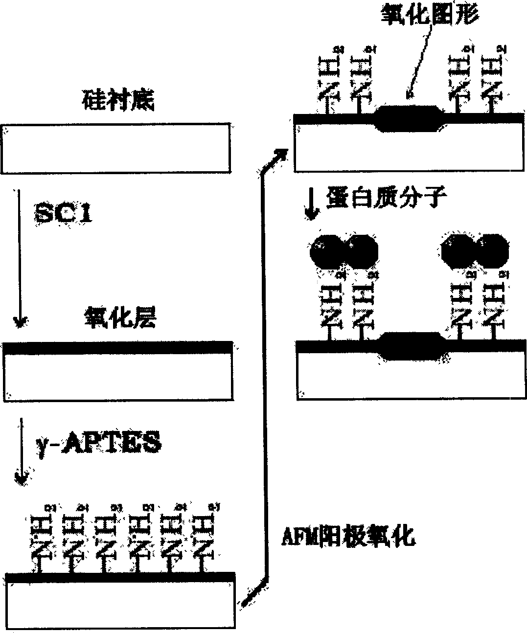 Method for producing protein chip