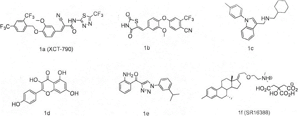 Novel estrogen-related receptor alpha inhibitor and medical application thereof