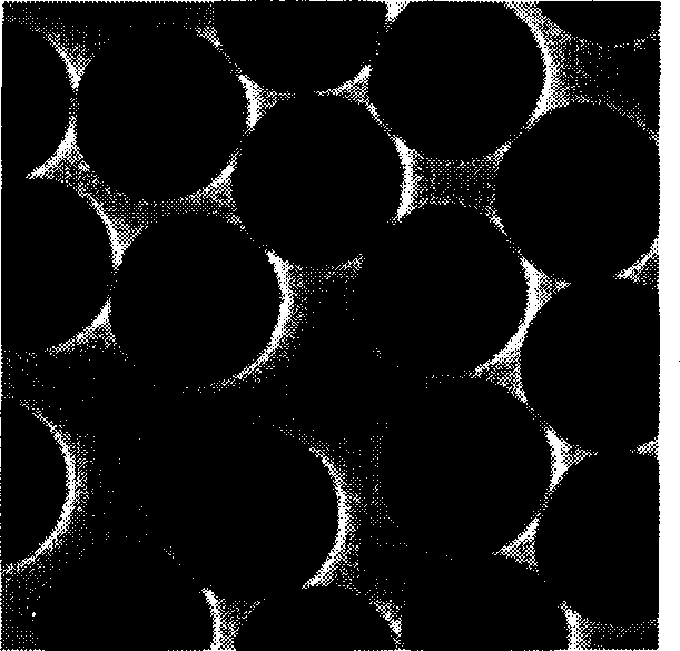 Process for preparing polyphenylethylene/tin dioxide nucleic shell microball