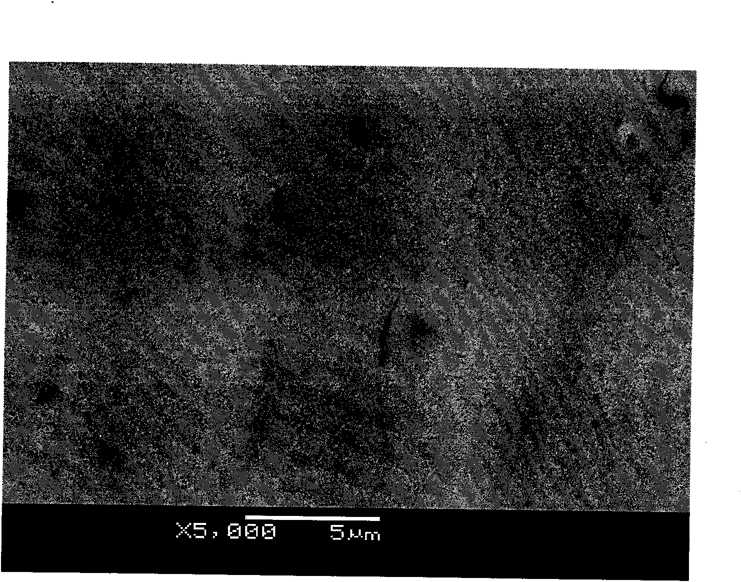 Stable chemical nickel-plating plating solution and preparation method thereof