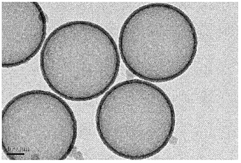 Magnetic-ultrasonic difunctional SiO2 hollow sphere contrast agent and preparation method and application thereof