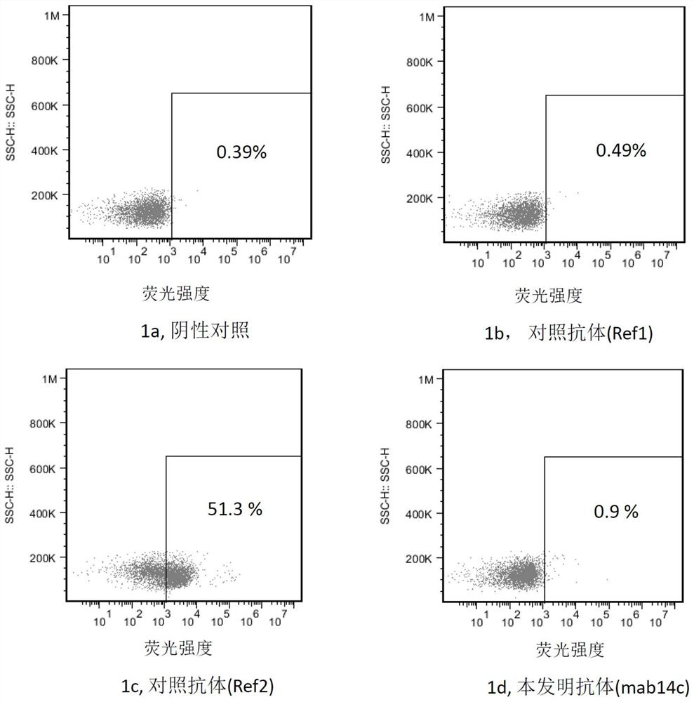 Antibody targeting Sirp alpha or antigen binding fragment of antibody as well as preparation and application of antibody or antigen binding fragment