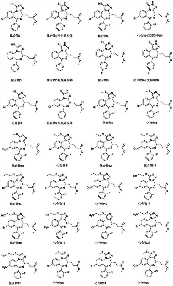 Novel benzodiazepine compound as well as preparation method and application thereof