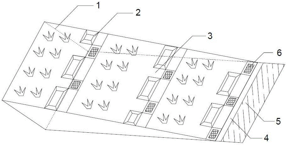 A method of biochar improving ecological ridges to reduce pollution from slope farming ground sources