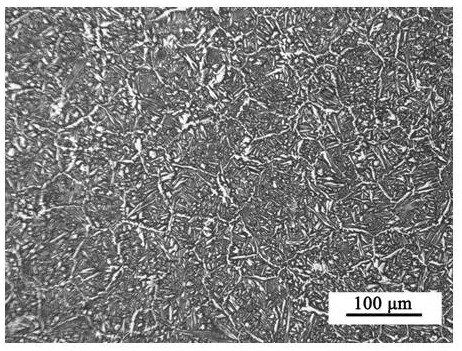 A kind of high-strength and tough single-phase cast magnesium alloy and preparation method thereof