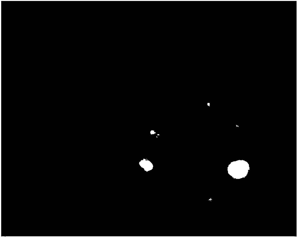 Heating furnace flame real-time detection method based on average gray scale and area