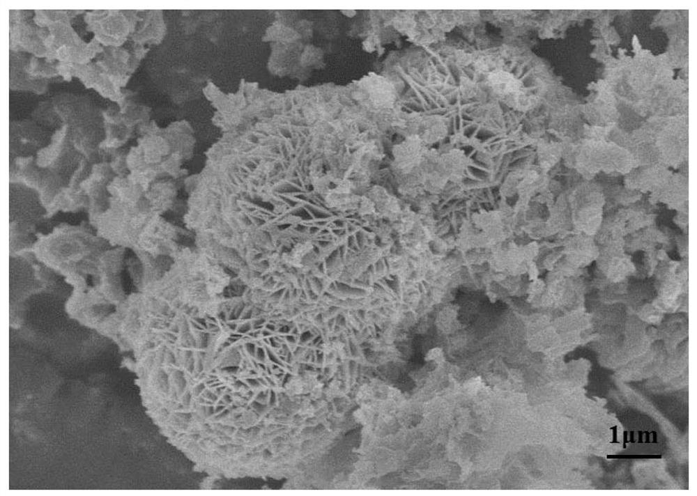 V-Ni2P/g-C3N4 photocatalyst as well as preparation method and application thereof