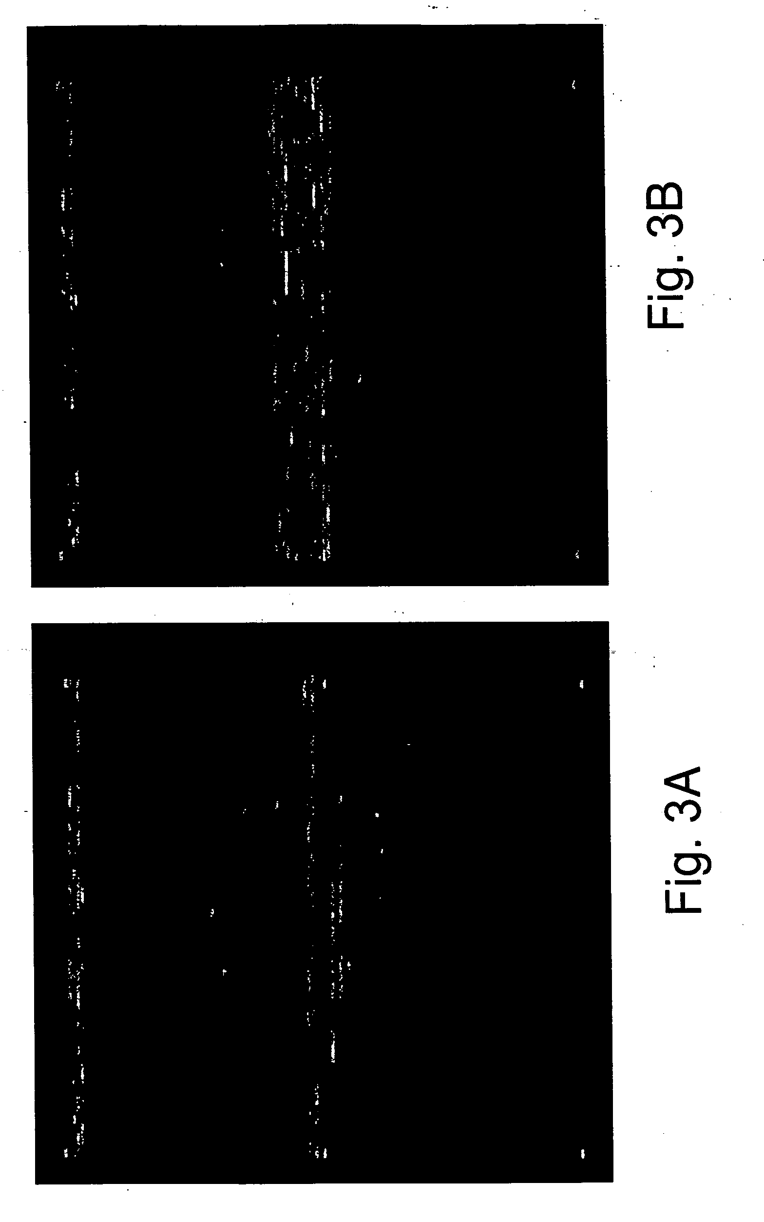 Re-sequencing pathogen microarray