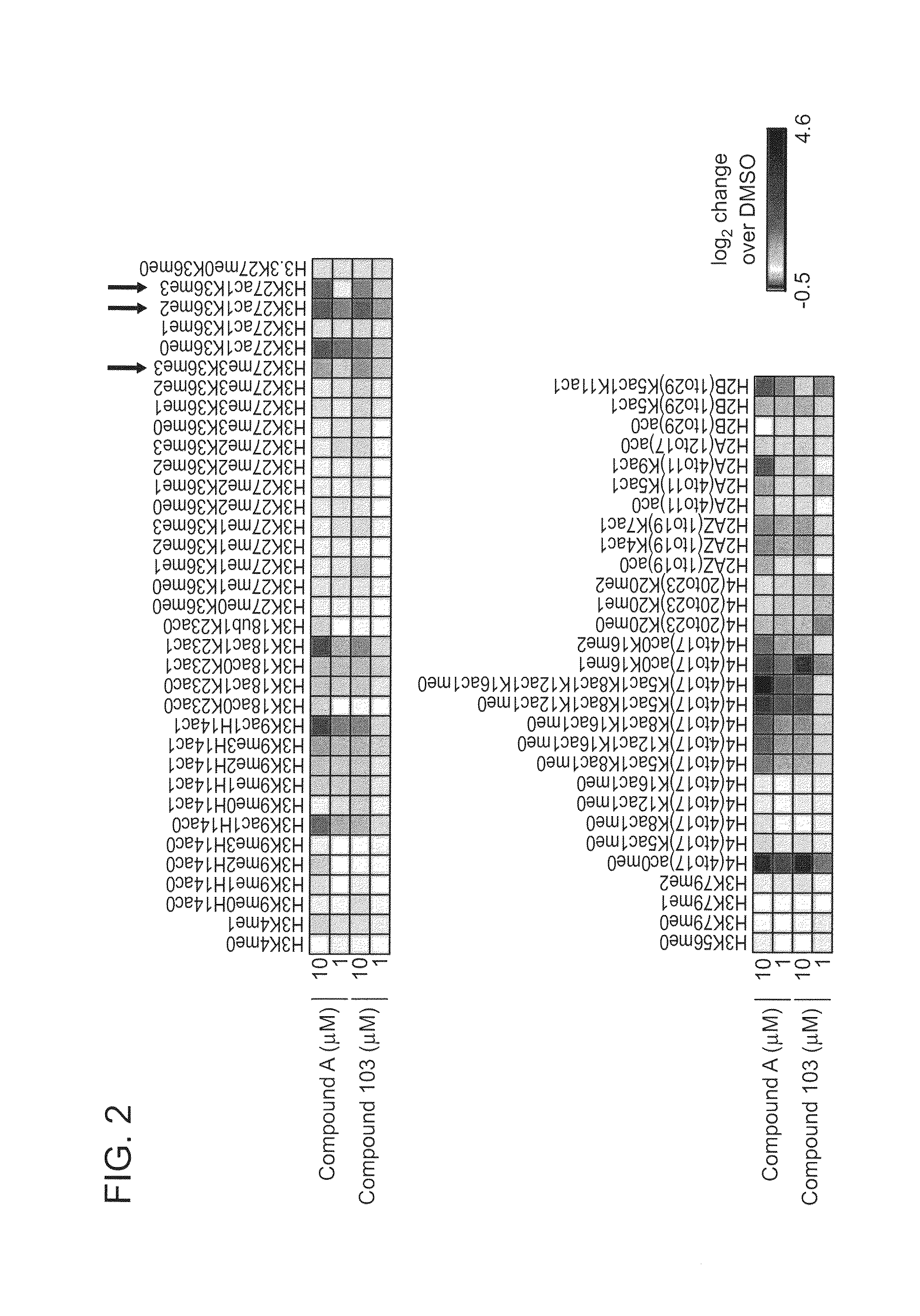 Inhibitors of Histone Deacetylase