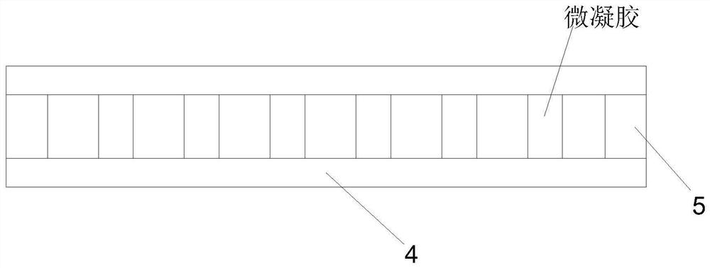 Microgel for delivering adipose-derived stem cells and preparation method thereof