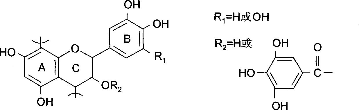 Method of extracting natural oxidationresistant active substanceoil from orange tree bark