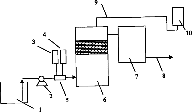 Deep purification method of coking wastewater based on advanced ozone oxidation