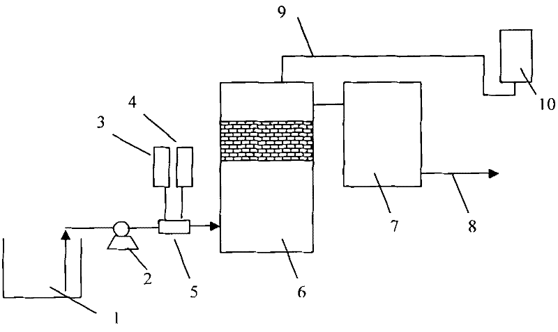 Deep purification method of coking wastewater based on advanced ozone oxidation