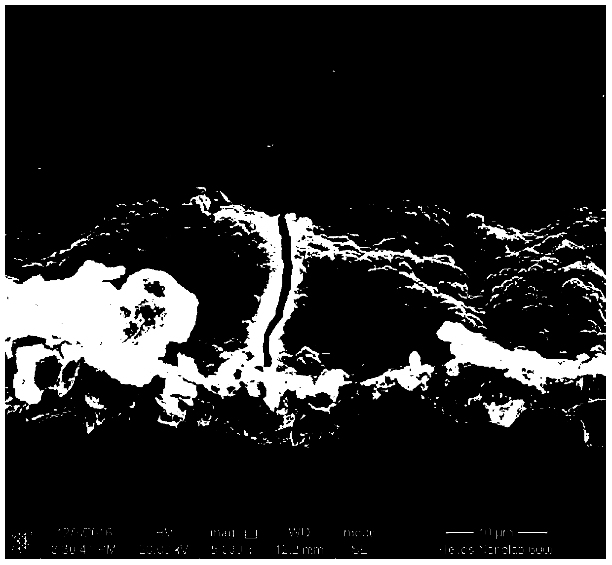 SEM in-situ tensile test method for researching interface fracture behavior of metal matrix and ceramic film layer