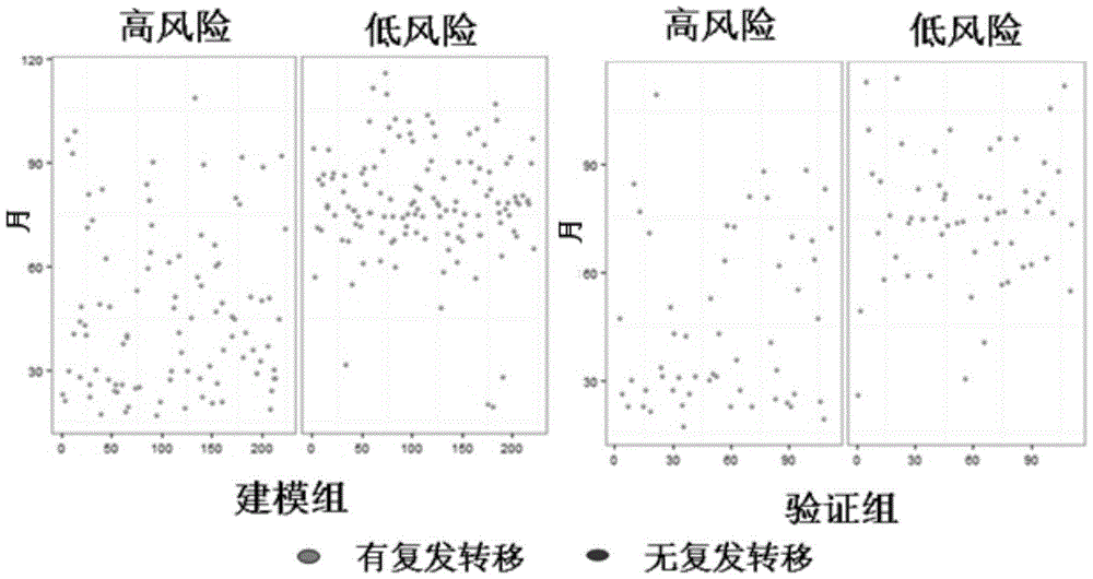 Kit for evaluating prognostic risks of breast cancer