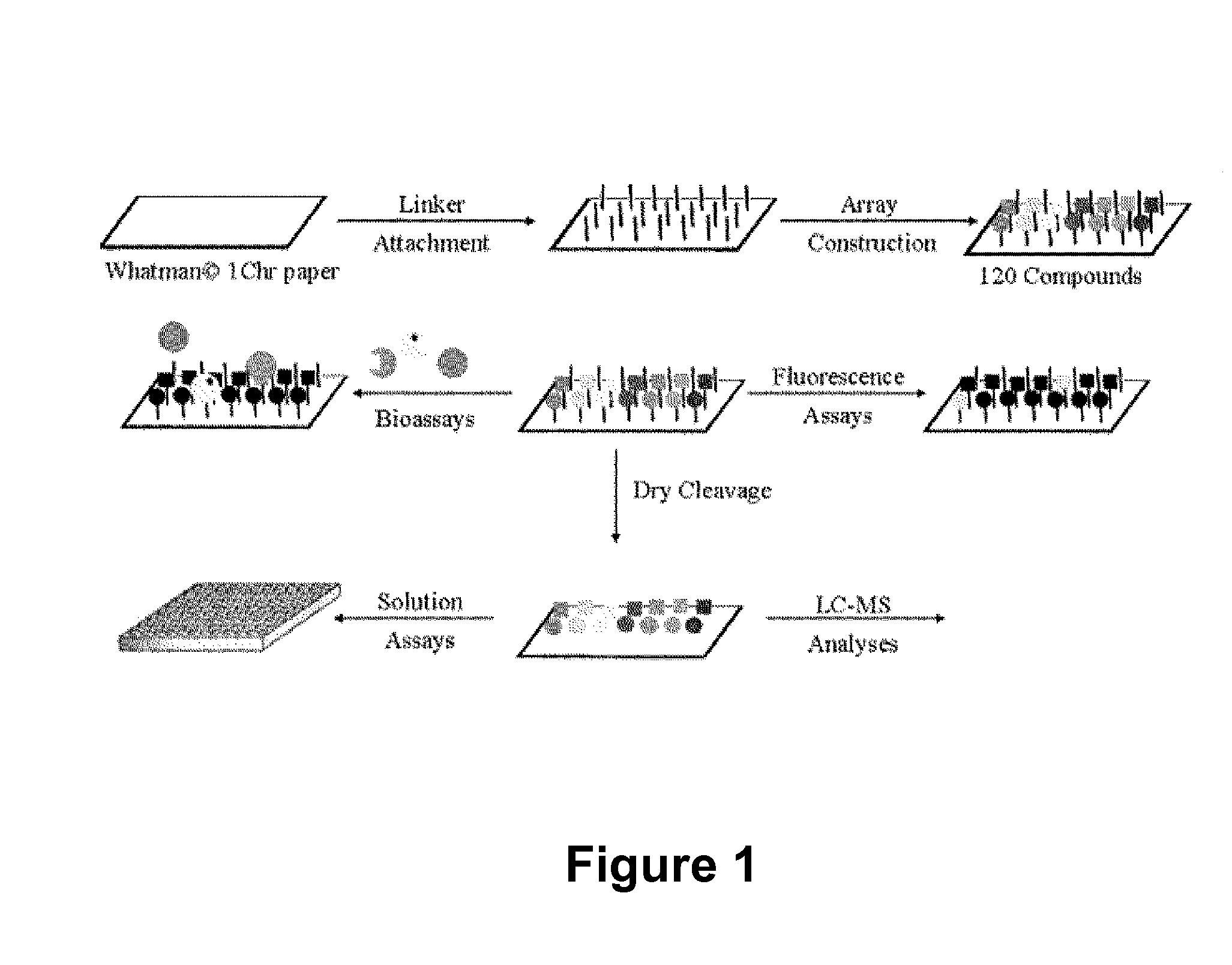 Antibacterial small molecules and methods for their synthesis