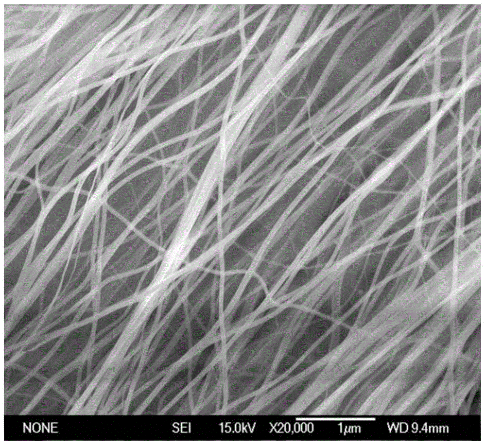 Exchange bias nickel-base ferromagnetic/antiferromagnetic composite nano fiber and preparation method thereof