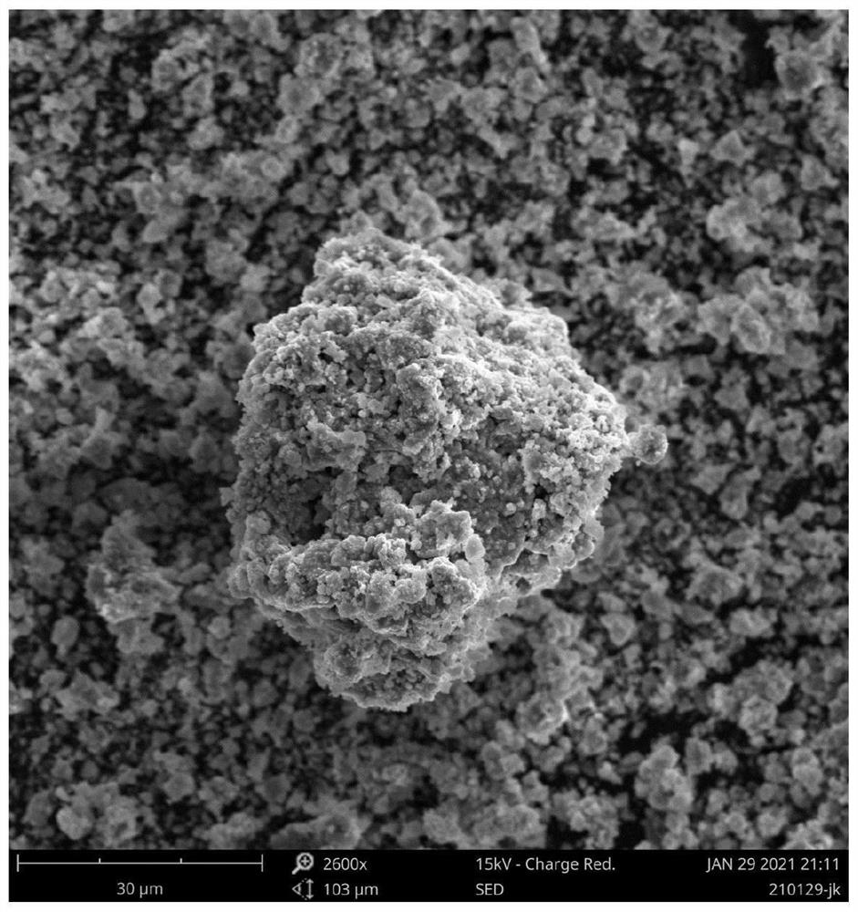 Co-based catalyst and application thereof