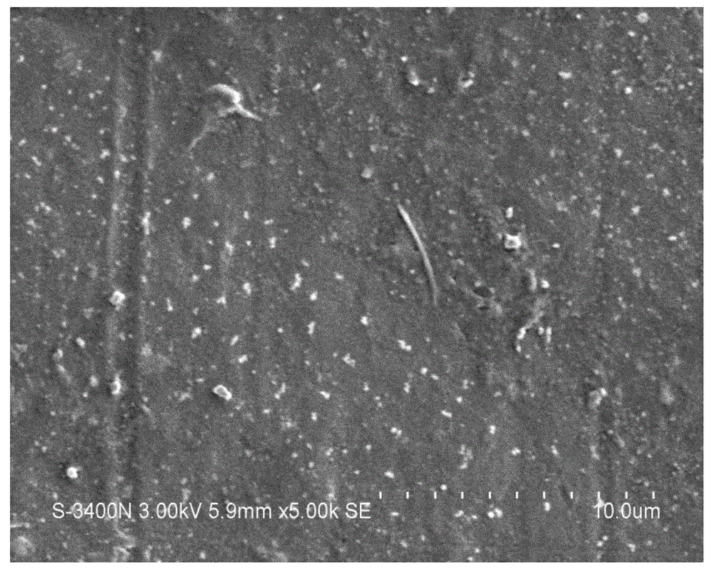 Mesoporous calcium magnesium silicate/polylactic acid composite material as well as preparation method and use thereof