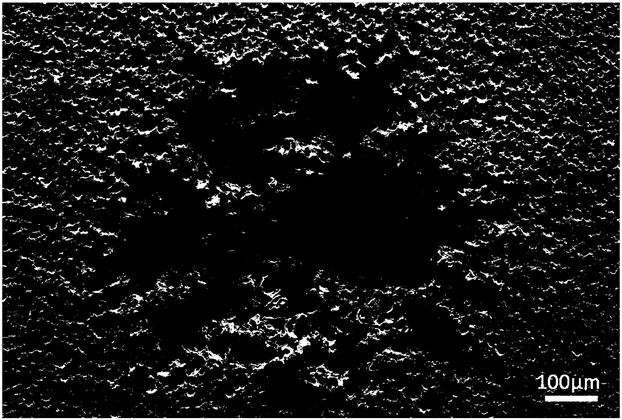 Method and device for evaluating metal mechanical properties by ultrasonic cavitation