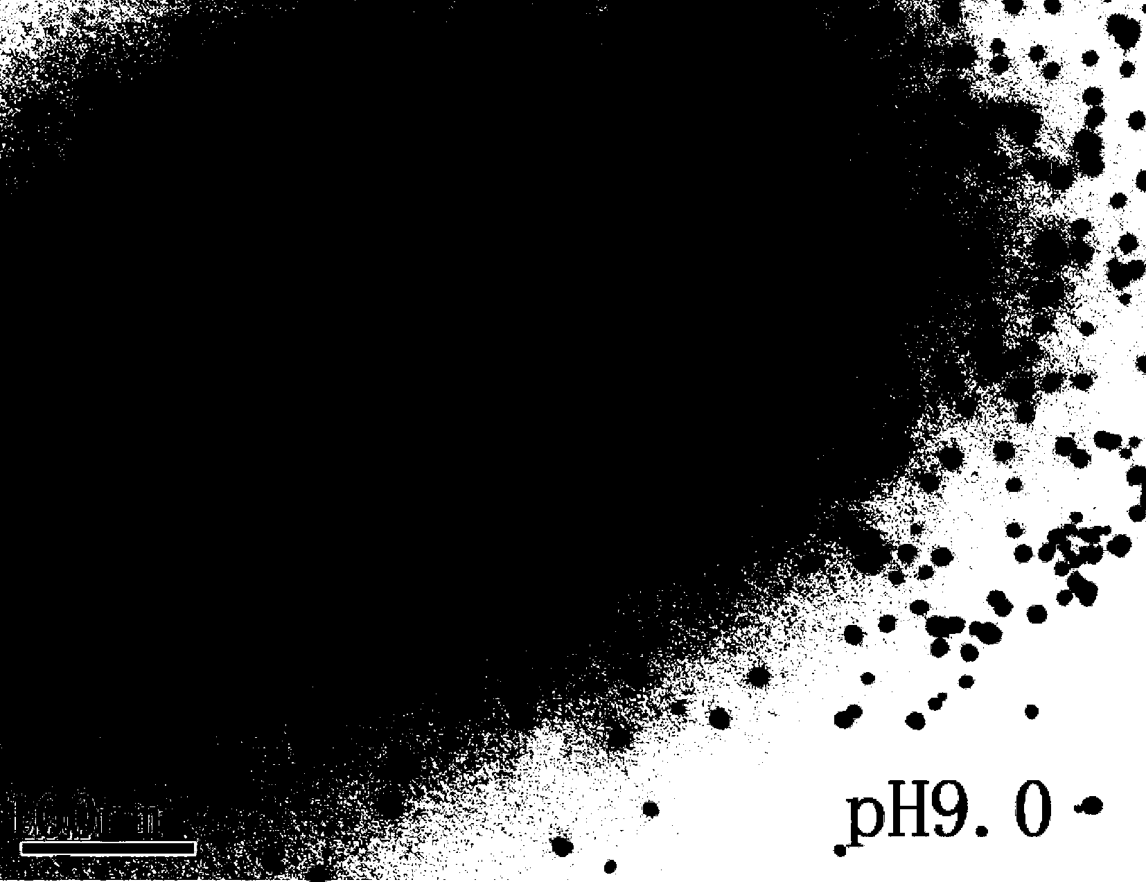 Method for preparing nanogold through mango peel reducing agent