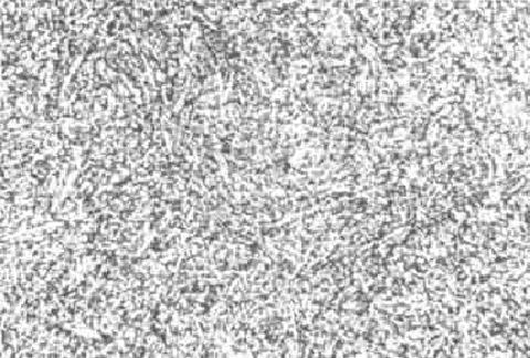 Thermal treatment process of homogenizing and fine graining of steel carbide of hot die