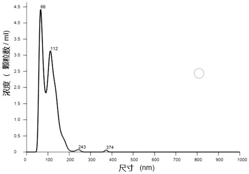 Kit for separating exosome from cell supernatant and use method of kit