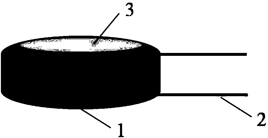 Method for preparing dense precursor ceramic temperature sensor