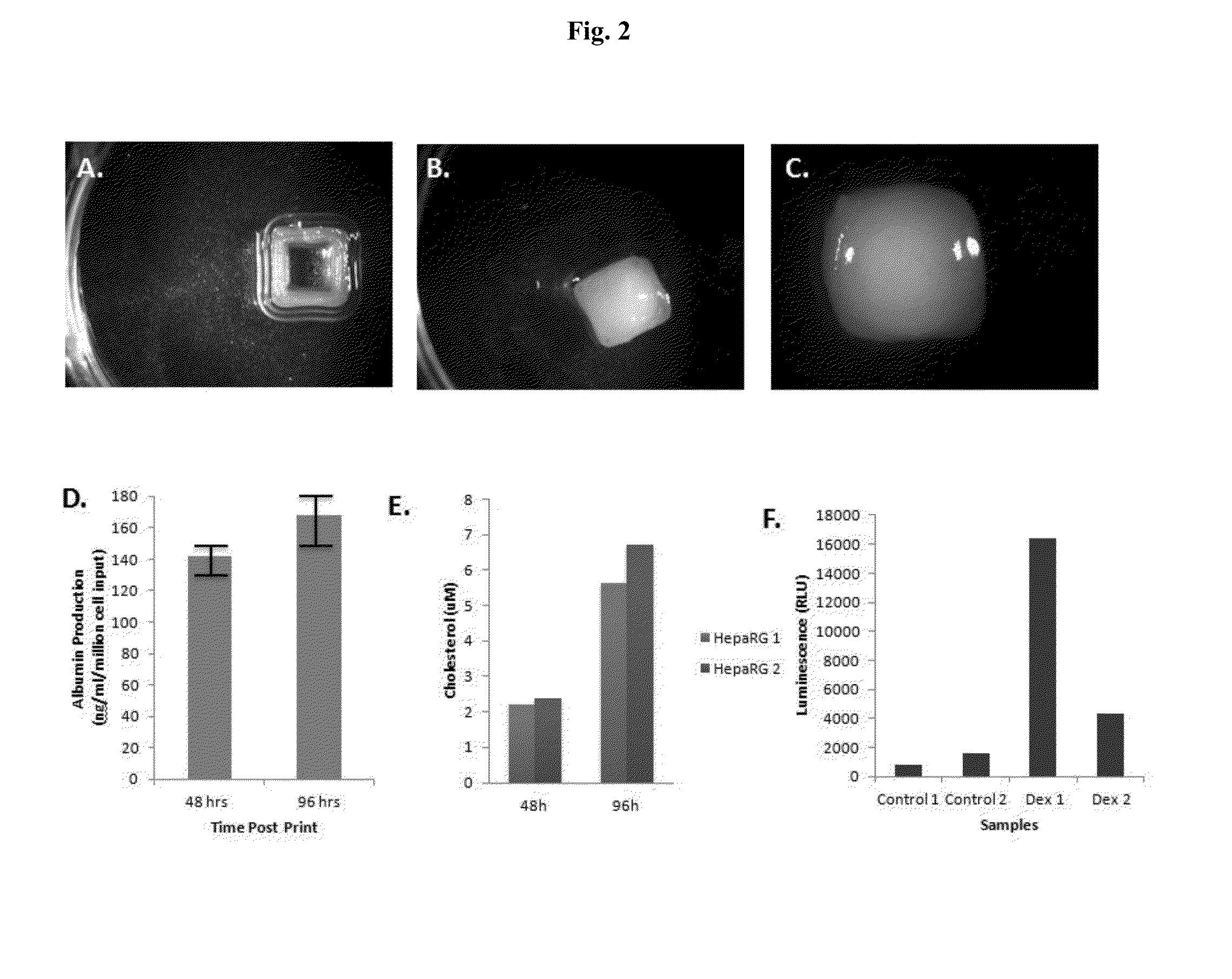 Engineered liver tissues, arrays thereof, and methods of making the same