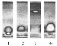 Method for quickly and quantitatively screening captan residue in fruit through high-performance thin-layer chromatography coupled with photobacterium phosphoreum biosensing