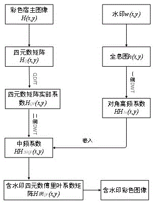 Dual-transform color image holographic watermarking method