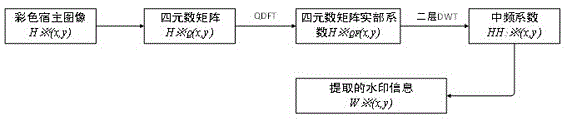 Dual-transform color image holographic watermarking method