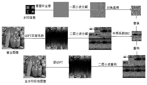 Dual-transform color image holographic watermarking method