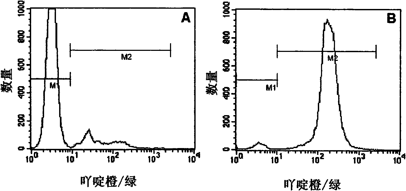 High gradient magnetic separation of biological material