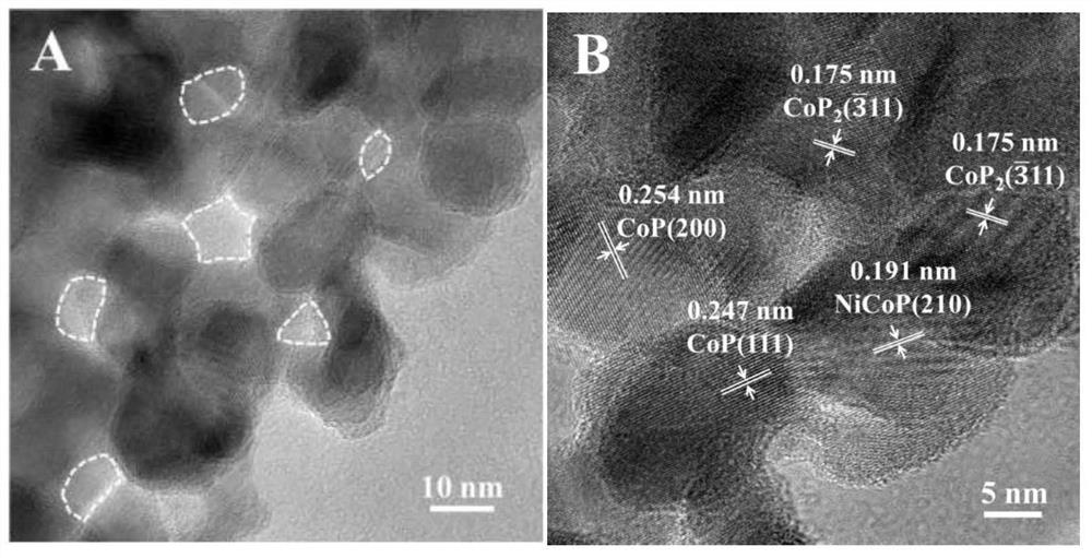 A kind of transition metal phosphide nanomaterial and its preparation method and application