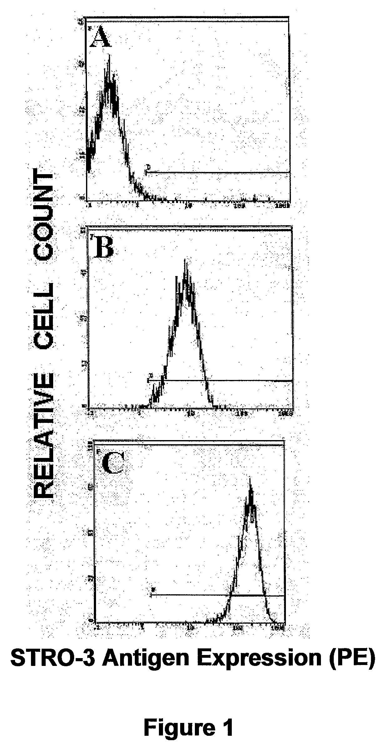 Isolation of adult multipotential cells by tissue non-specific alkaline phosphatase