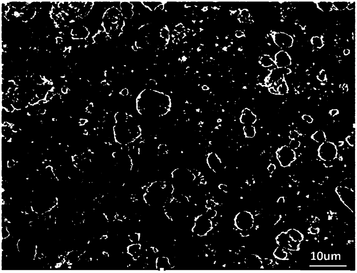 Polymer coating diaphragm used for lithium ion battery