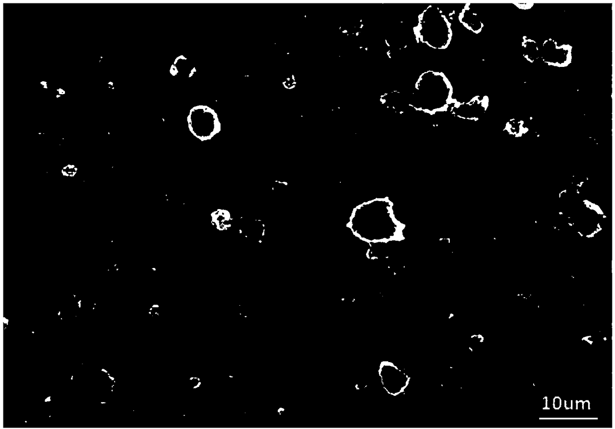 Polymer coating diaphragm used for lithium ion battery